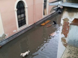 Maltempo, in Via Don Blasco crolla un muro e si allaga il canile, frana a Cumia