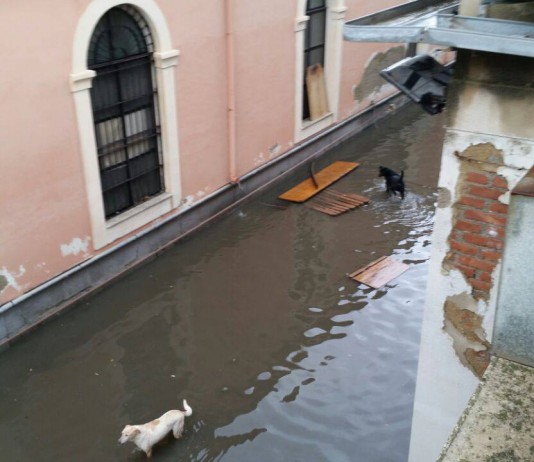 Maltempo, in Via Don Blasco crolla un muro e si allaga il canile, frana a Cumia