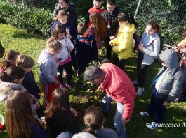 II Circoscrizione, piantati due alberelli nella villetta presso il bivio di Zafferia (foto e video)