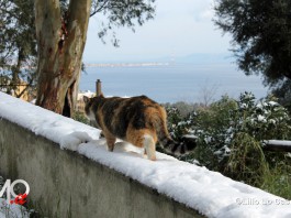 Emergenza freddo, tavolo tecnico in Prefettura