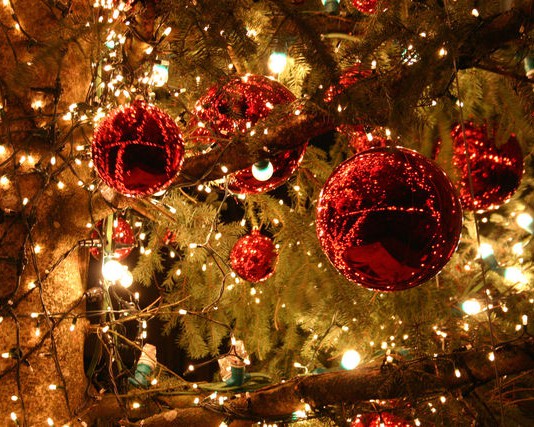 Natale arriva a Piazza Cairoli, renne luminose nel villaggio e sabato si accende l’albero