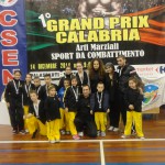 Arti marziali. La Dragon Fire in evidenza al 1° Gran prix Calabria