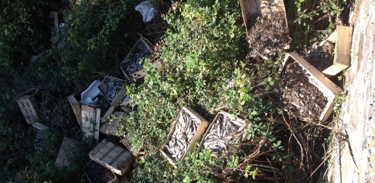 Decine di cassette piene di pesci morti sul torrente Zafferia, ma nessuno ne sa nulla – VIDEO