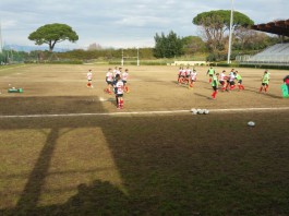Rugby, Serie B. Amatori: A Frascati seconda sconfitta consecutiva dalla ripresa del campionato