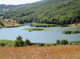 Il marchio Nebrodi all’Expo 2015, adesione aperta agli operatori del territorio