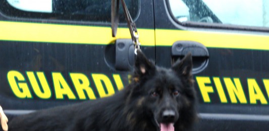 Traghettava due kg di cocaina purissima, fiutata dai cani antidroga. Arrestato palermitano