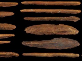 Archeologia subacquea, al Museo di Gela per la prima volta esposti gli ultimi preziosi reperti, forse i più antichi mai trovati in zona