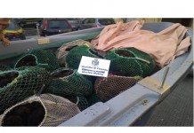 Pesca illegale: sequestrati 9000 ricci di mare