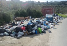Discarica a cielo aperto tra Ponte Gallo e Ortoliuzzo