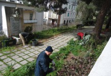 Una città più verde: la primavera inizia con la guerrilla gardening (fotogallery)