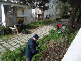 Una città più verde: la primavera inizia con la guerrilla gardening (fotogallery)