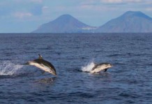Vulcano: 40 alunni diventeranno “Guardiani dell’Isola” con Marevivo. Le piccole “sentinelle” segnaleranno problematiche ambientali