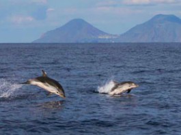 Vulcano: 40 alunni diventeranno “Guardiani dell’Isola” con Marevivo. Le piccole “sentinelle” segnaleranno problematiche ambientali