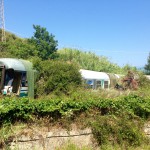 Tredici anni fa il disastro ferroviario di Rometta: Andaloro chiede che quei vagoni diventino una biblioteca