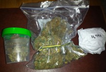 Marijuana al Nebrodi Art Fest, cinque palermitani denunciati per detenzione di sostanza stupefacente