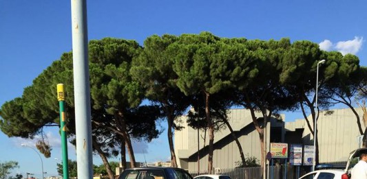 Finisce nell’aiuola della rotatoria: incidente autonomo all’Annunziata