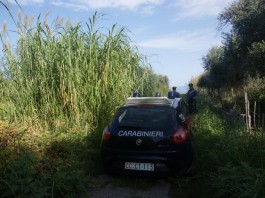 Hashish, marjuana e cocaina nascoste nel canneto: arrestato pusher a Patti