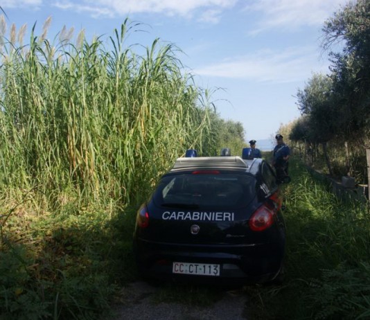 Hashish, marjuana e cocaina nascoste nel canneto: arrestato pusher a Patti