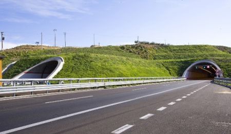 II Circoscrizione, Terranova (Pd) contro il CAS: “Da Gazzi a viadotto Zafferia, quadro allarmante”