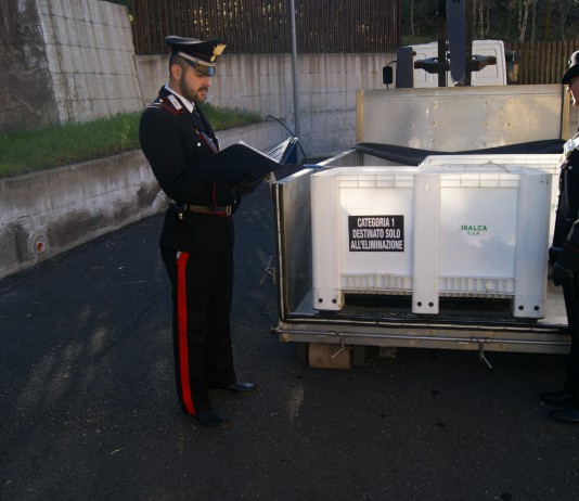 Macellavano suini neri senza autorizzazioni: controlli dei carabinieri nel Parco dei Nebrodi