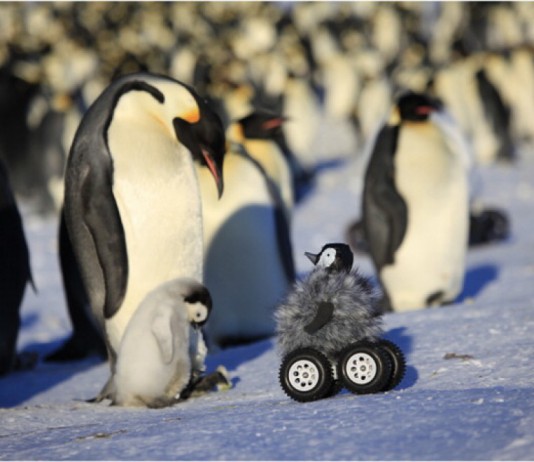 #criticamilitante – Natale con l’auto