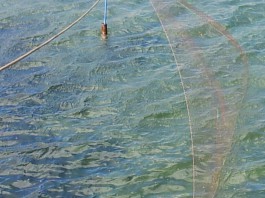 Malore mentre è a pesca, il cuore di don Pippo il decano dei pescatori scalettesi, cessa di battere
