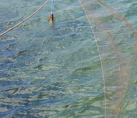 Malore mentre è a pesca, il cuore di don Pippo il decano dei pescatori scalettesi, cessa di battere