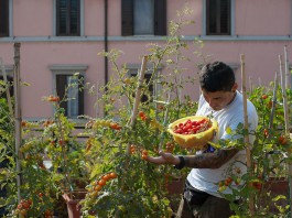 A Palazzo Zanca il forum dei beni comuni discuterà il regolamento degli orti urbani
