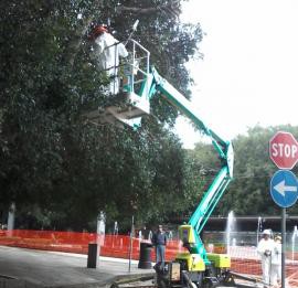 Potature: restyling a Piazza Cairoli