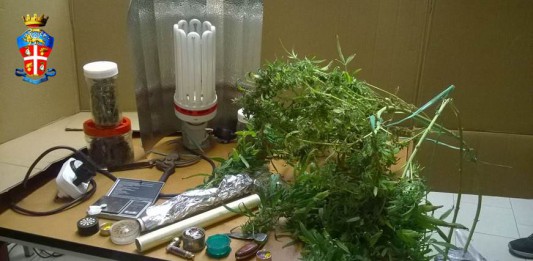 Coniugi pusher a Rometta Marea: in casa un “supermarket” di droghe leggere