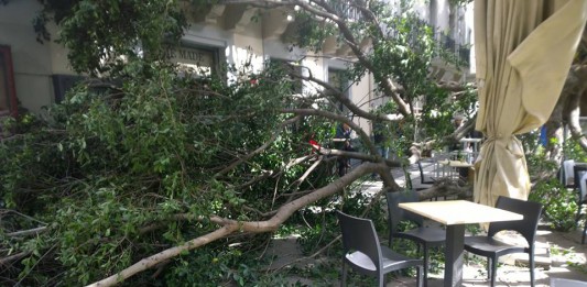 Scirocco e danni: alberi, pali e cartelli pubblicitari staccati dal vento