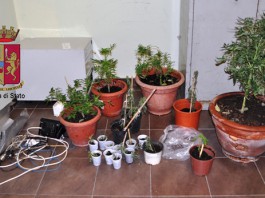 Sorvegliato speciale sorpreso dalla Polizia a coltivare marijuana