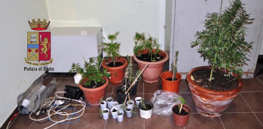 Sorvegliato speciale sorpreso dalla Polizia a coltivare marijuana