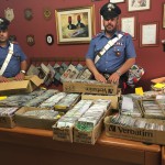 Vendeva cd contraffatti, intervengono i carabinieri