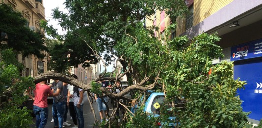 Piovono alberi: tragedia sfiorata in pieno centro
