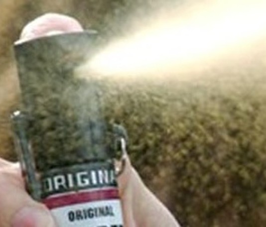 Aggressione a Santagati e due agenti, il sindacato: “spray urticante” in dotazione scaduto da mesi