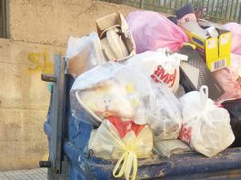 Sporcizia, topi e insetti : è allarme igienico sanitario nelle periferie. La denuncia del II quartiere