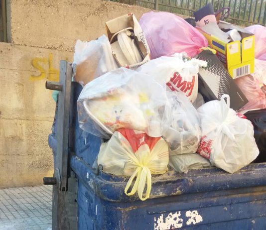 Sporcizia, topi e insetti : è allarme igienico sanitario nelle periferie. La denuncia del II quartiere