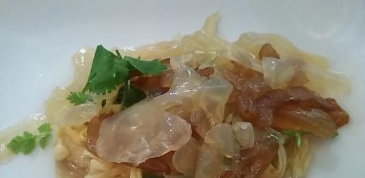 Degustazione di meduse: a Lipari si può. Marevivo: “gustosa risorsa alimentare”