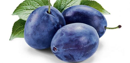 La protesta di un uomo disperato: servizi sociali e storie di ordinaria vergogna