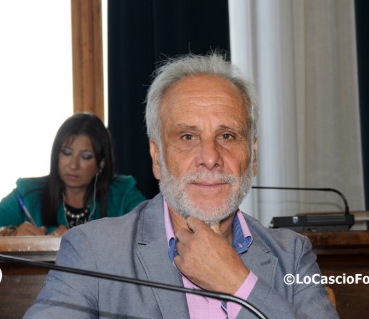 Riforma delle Autorità Portuali, Pino in commissione Ars: “difendiamo l’autonomia dello Stretto”