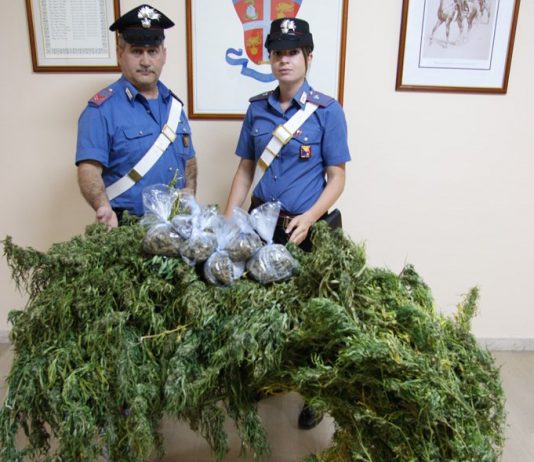 Coltivavano marijuana, arrestati due fratelli nella zona sud