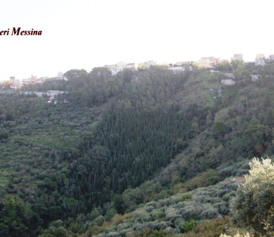 Truffa all’Agea per 500 mila euro: 14 denunce a San Salvatore di Fitalia