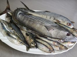Scoperta messinese sul pesce azzurro: alleato contro depressione post partum