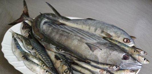 Scoperta messinese sul pesce azzurro: alleato contro depressione post partum