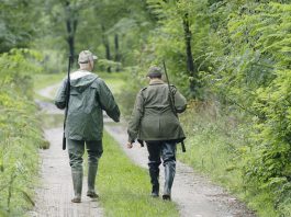 I forestali denunziano l’ing.Trovato per abuso e inosservanza di atti giudiziari