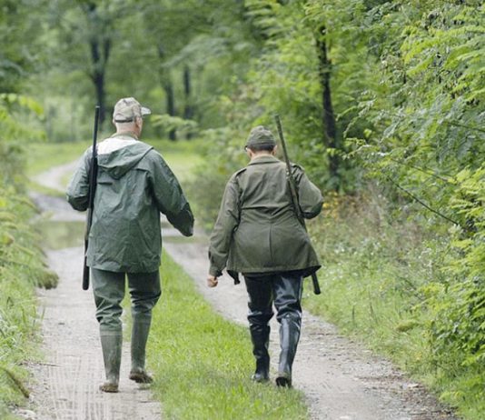 I forestali denunziano l’ing.Trovato per abuso e inosservanza di atti giudiziari