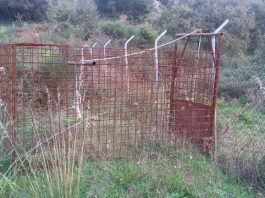 San Piero Patti, sequestrata una gabbia a ghigliottina per la cattura dei cinghiali