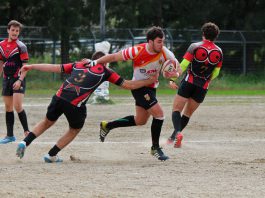 Rugby. SerieB. L’Amatori Messina Nissa Rugby batte il Colleferro col risultato di 43-10.