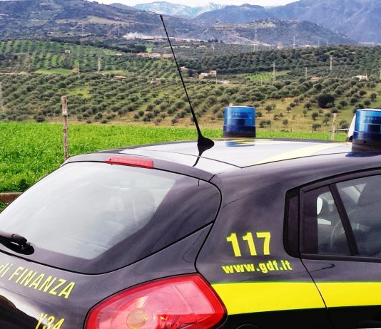 “Agrumi d’oro” a Capo d’Orlando: giro di fatture false per ottenere finanziamenti europei